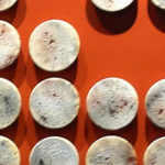 Ivory(Luna)-Thumbnail