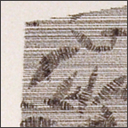 jacquard-thumb